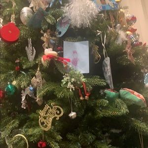 Meet your Posher, Laila